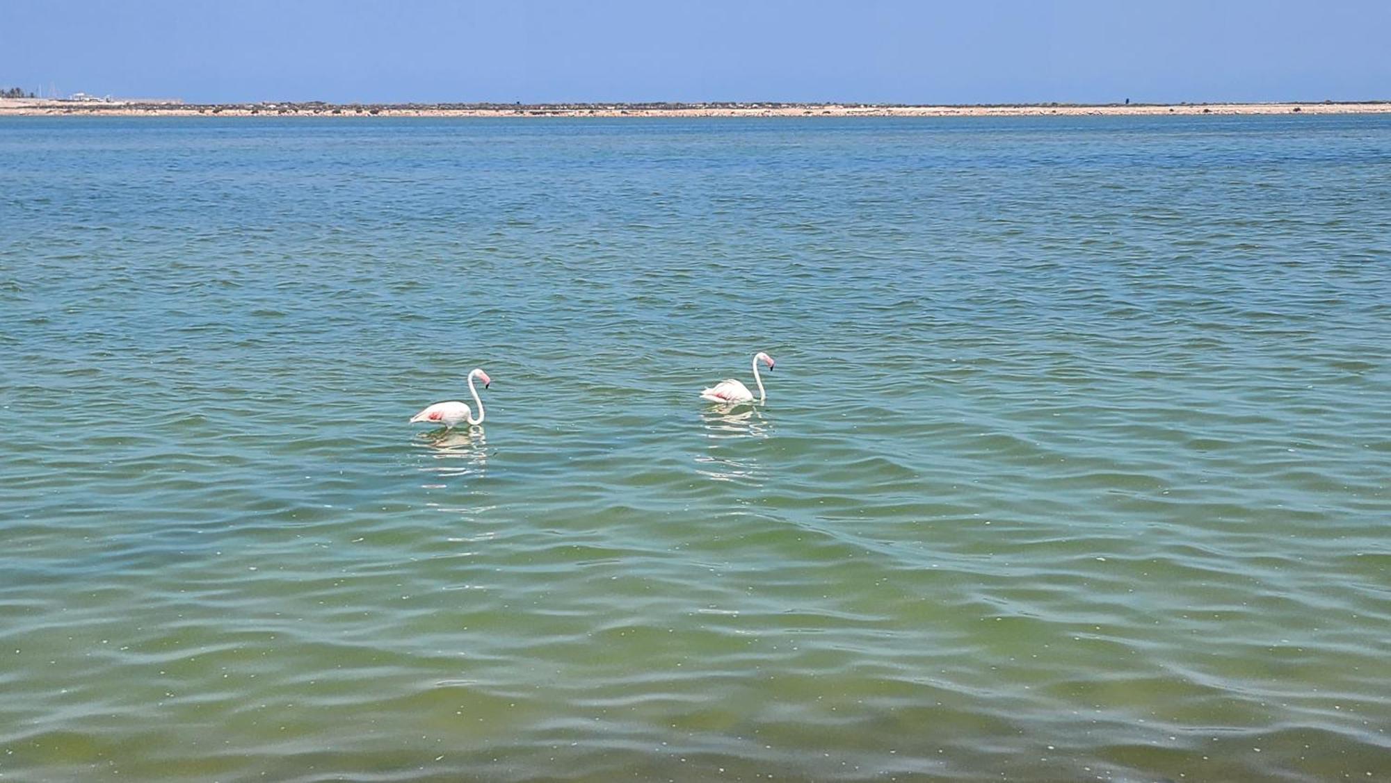 La Manga Del Mar Menor Los Miradores Block 1 5Th Floor G مرسية المظهر الخارجي الصورة
